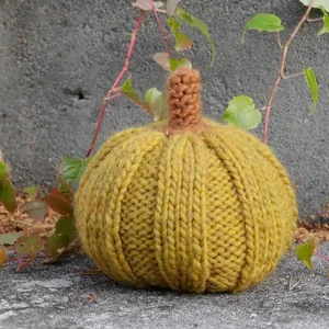 0-1501 Cinderella's Pumpkins by DROPS Design Beställ idag